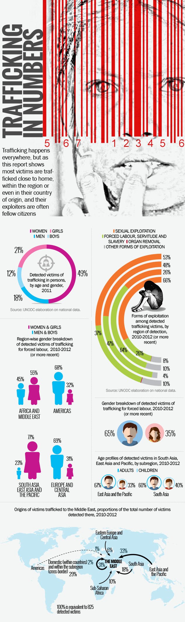 Infographics sample 12