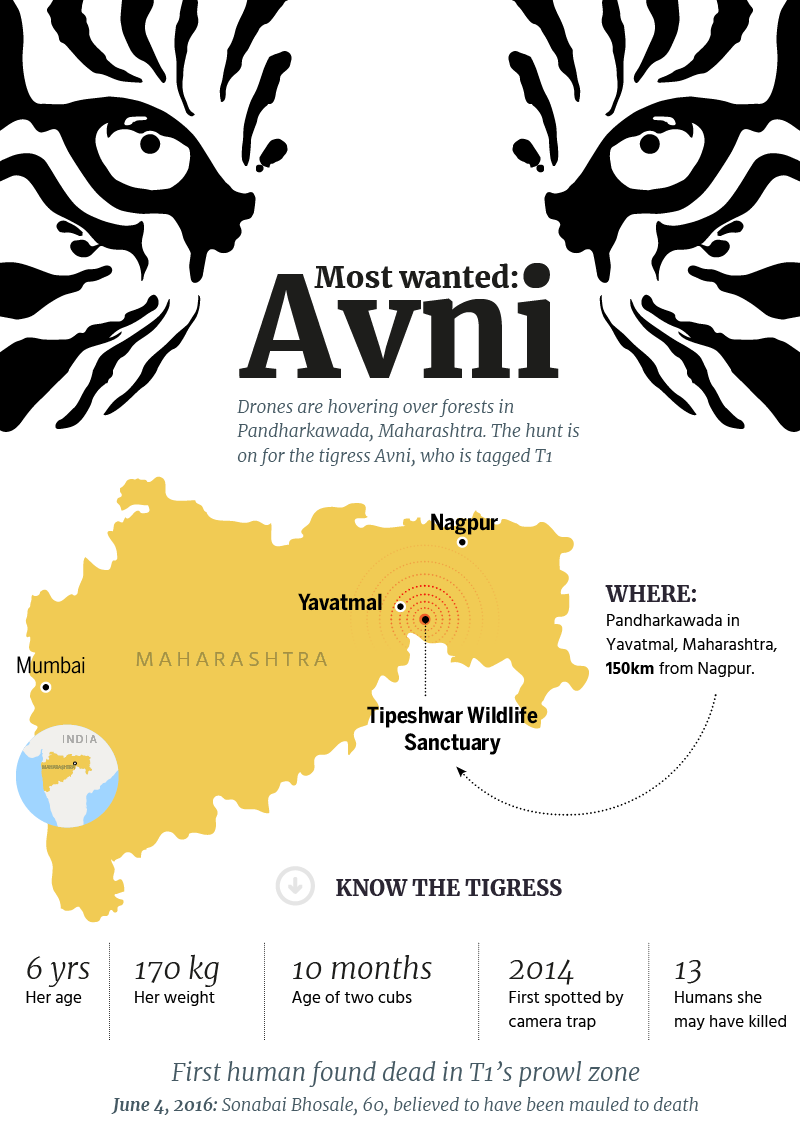 Infographics sample 4